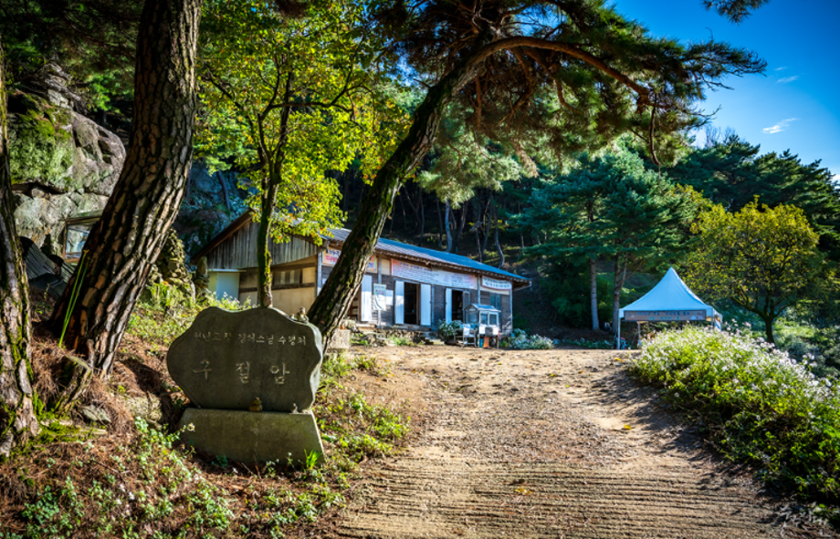 구절산 구절초 축제3